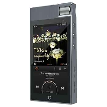 Cayin n5 ii mk2 同軸ケーブルセット　動作確認済 Amazon.co.jp: N5ii DAP【国内正規品】 : 家電＆カメラ